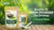 Benefits of Neem Powder for Drinking: A Natural Detox