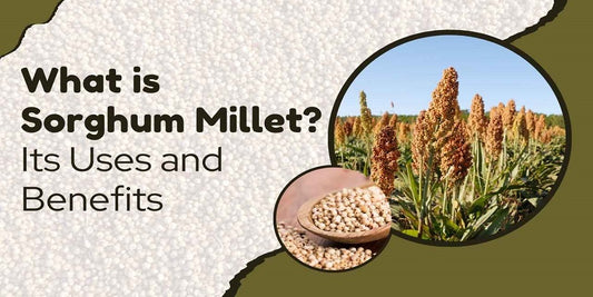 What is Sorghum Millet? Its Uses and Benefits