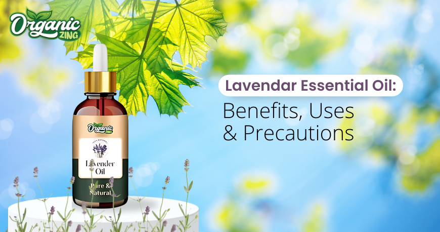 What Are The Lavender Essential Oil Benefits: Uses And Precautions ...