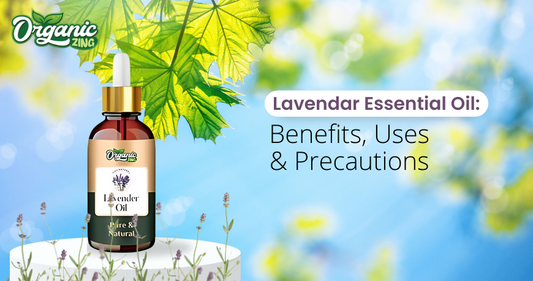 Lavender Oil benefits and uses 