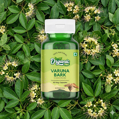 Varuna Bark Capsules (Crataeva Nurvala)