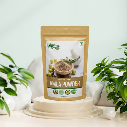 Best organic Amla powder for daily use
