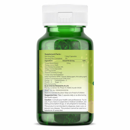 Ginkgo Biloba Extract 120mg - 30 Capsules