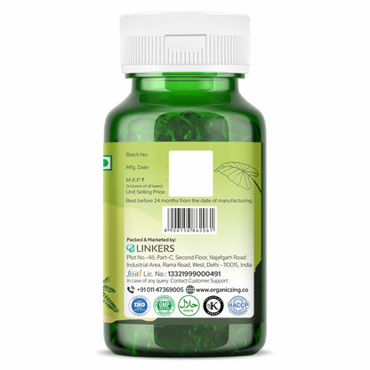 Chanca Piedra 500 mg Capsules