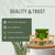 Superfood Festive Combo