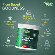 Organic Zing Plant-Based Collagen Powder – Vegan Wellness
