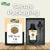 Dill Seed Oil