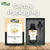 Mountain Daisy Oil