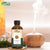 Cumin Seed Oil