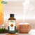 Wheat Germ Oil